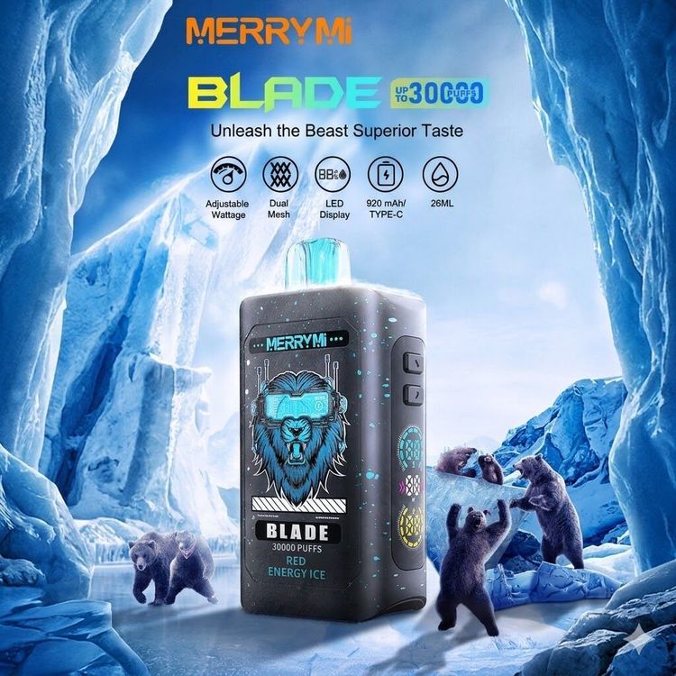 MERRYMI BLADE 30000 - obrazek 3