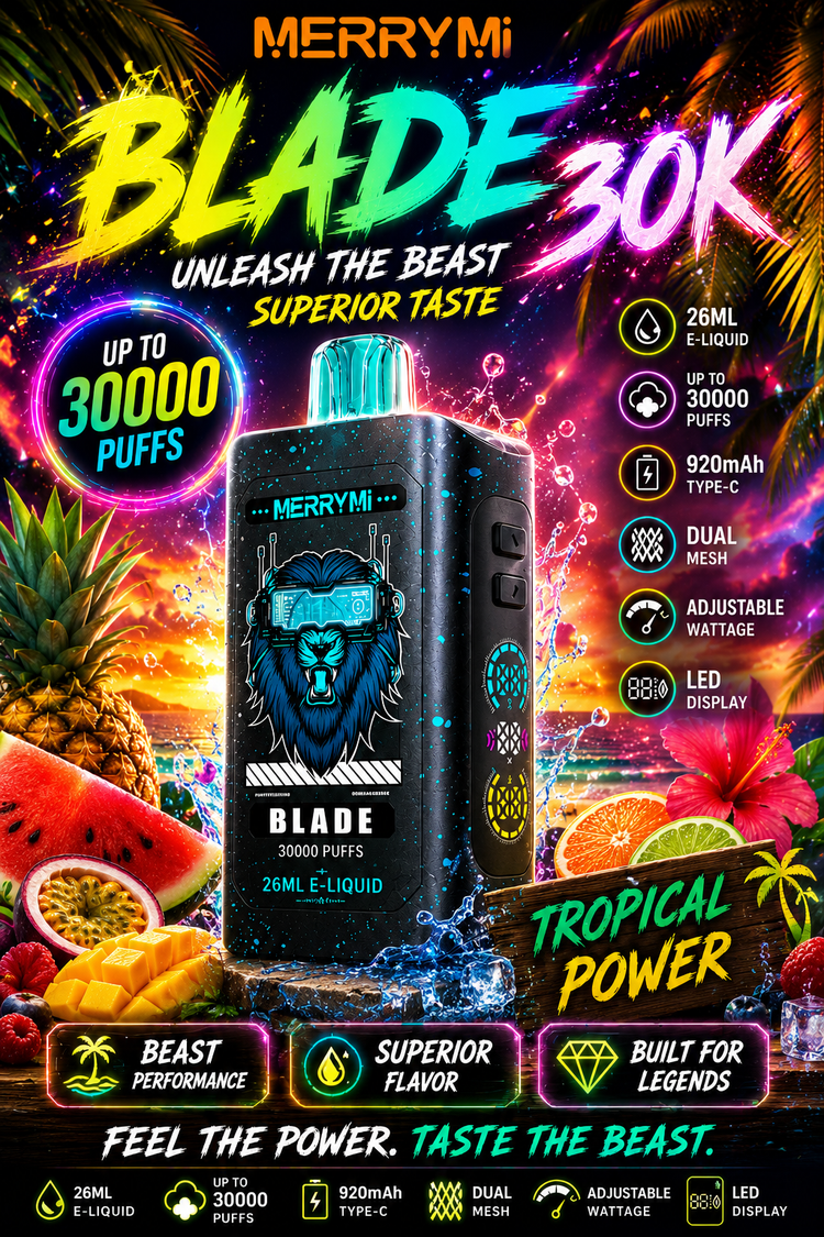MERRYMI BLADE 30000 - obrazek 2